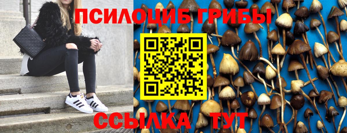Псилоцибиновые грибы прущие грибы  Псилоцибиновые грибы Psilocybine cubensis  Миллерово  Вход с VPN 